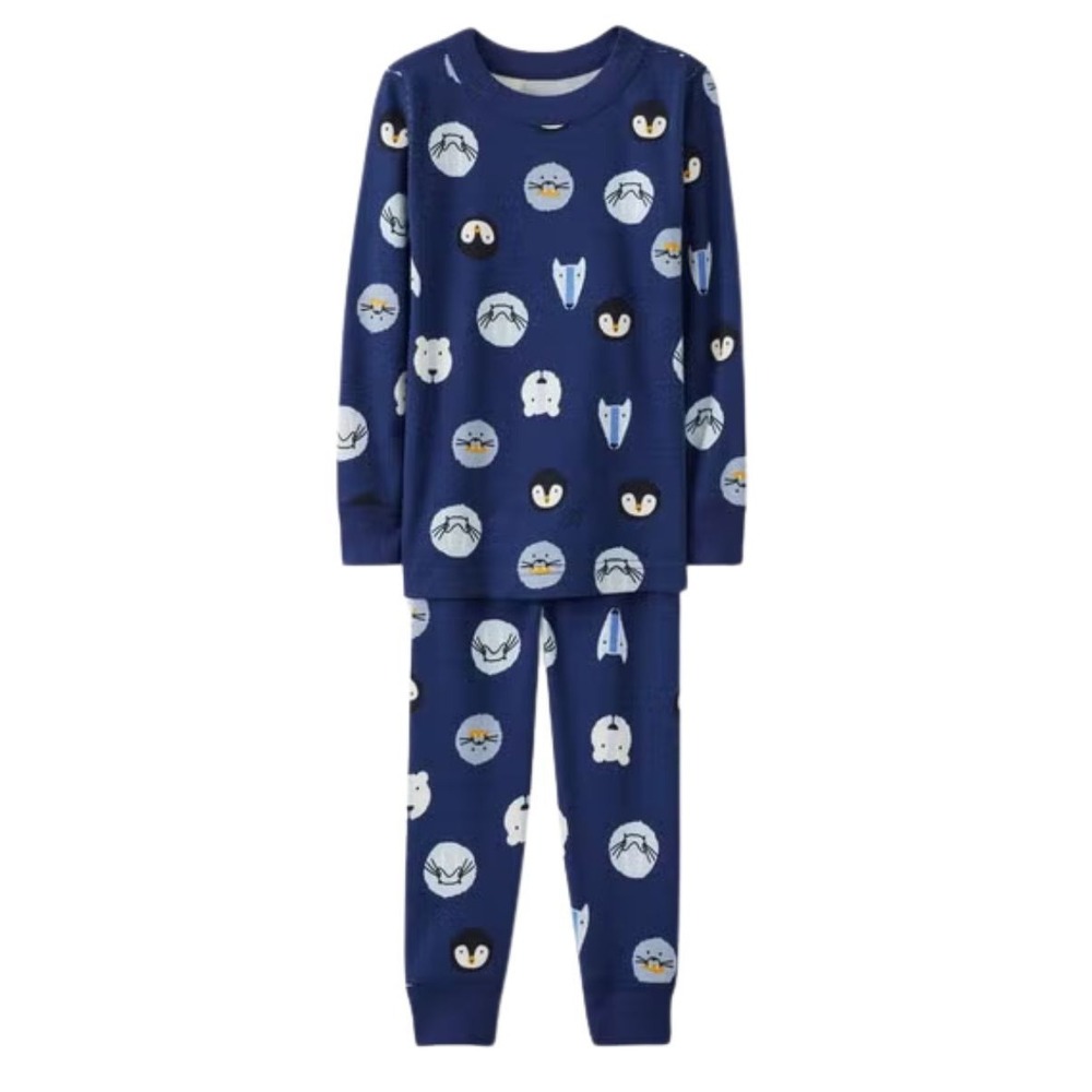 NEW Hanna Andersson 100% Organic Cotton Long John Pajama Set Winter Critters Sz4